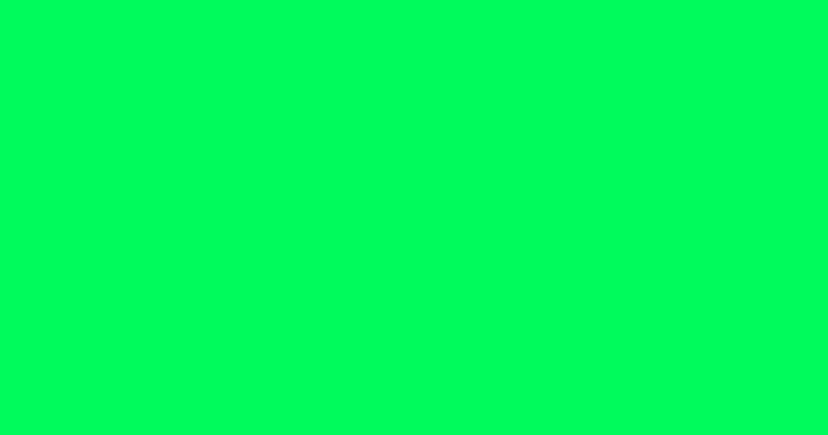 #00fb5c spring green color image