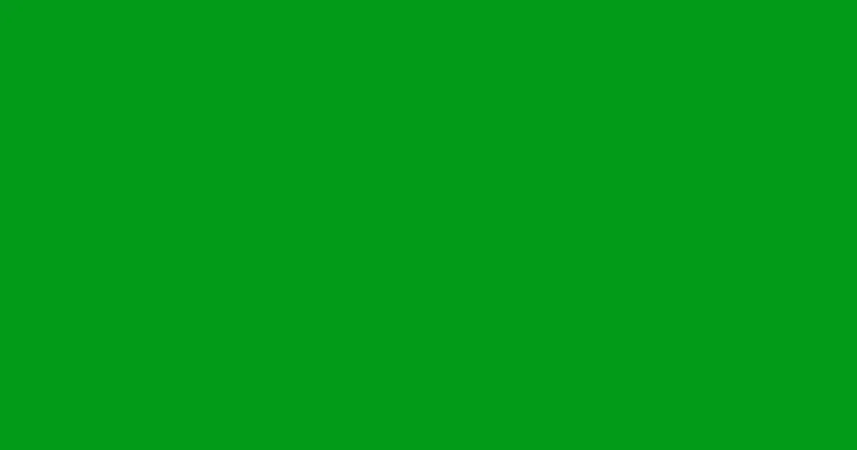 #019b18 fun green color image