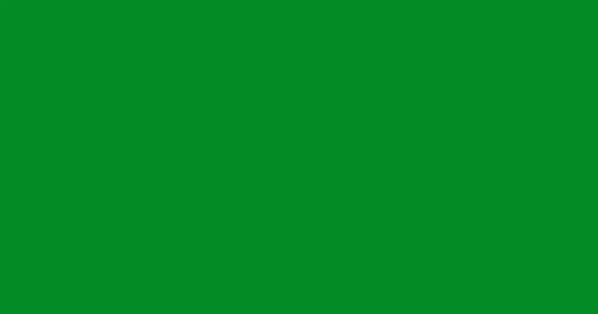 #038b25 fun green color image