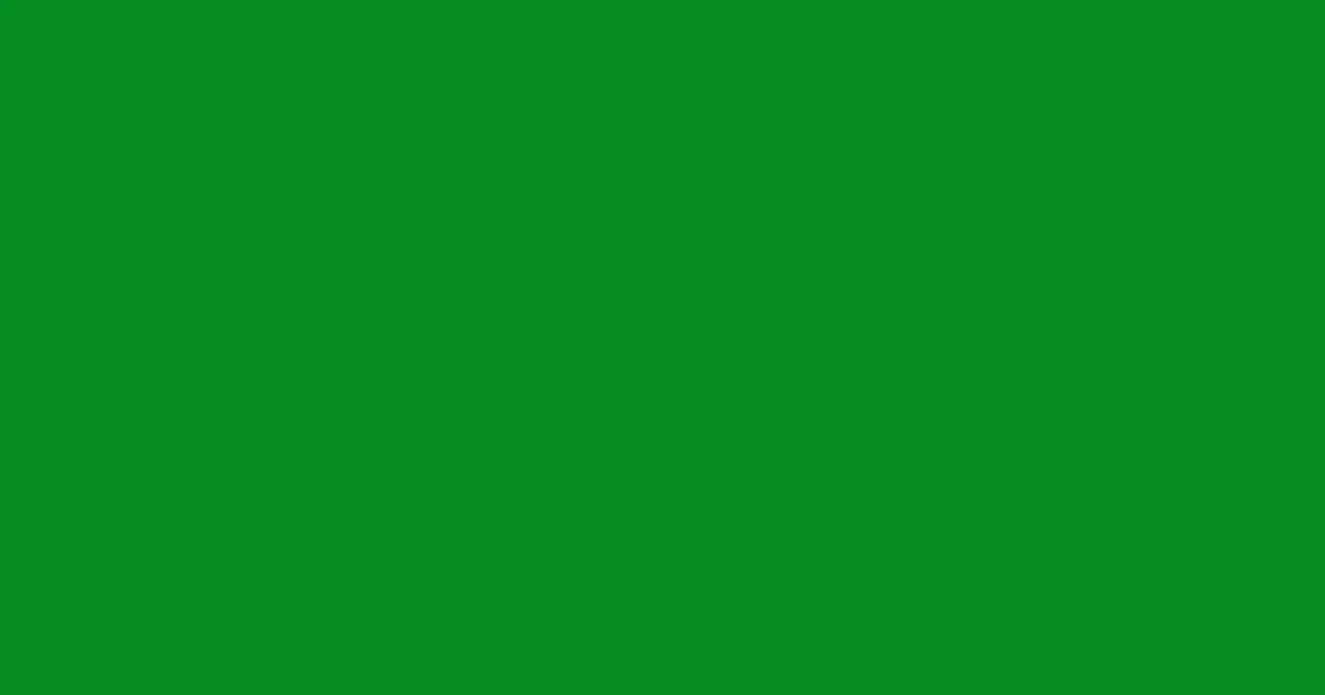 #048c21 fun green color image
