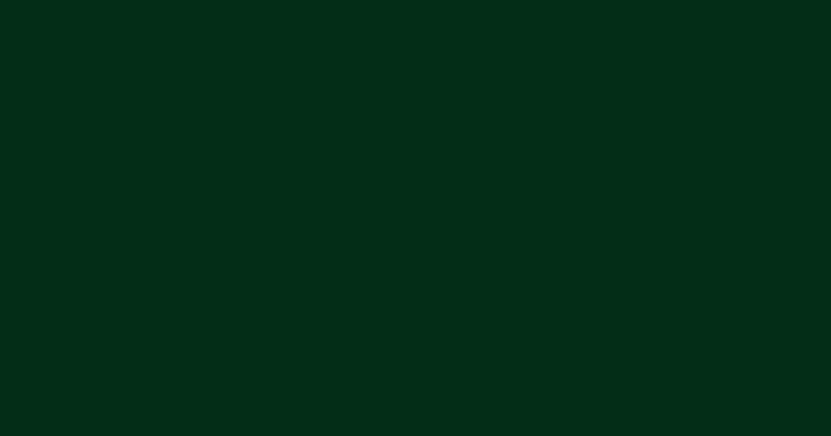 #052f18 zuccini color image