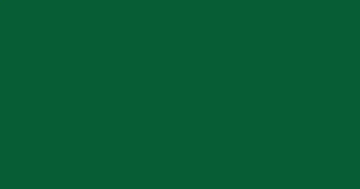 #065d35 zuccini color image