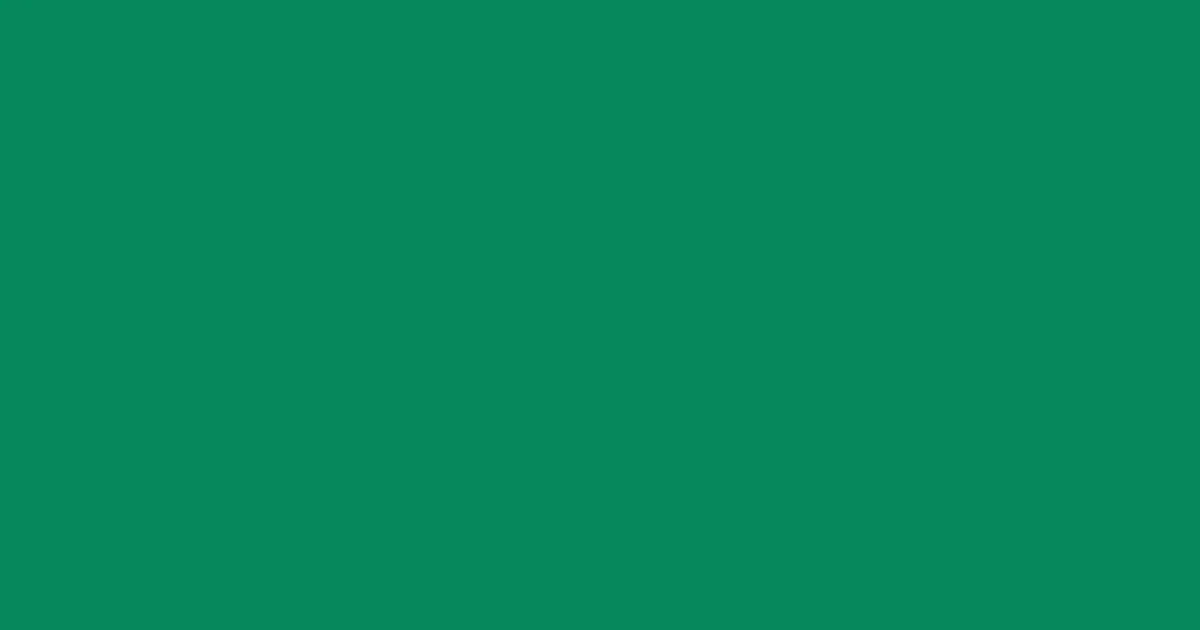 #06875c elf green color image