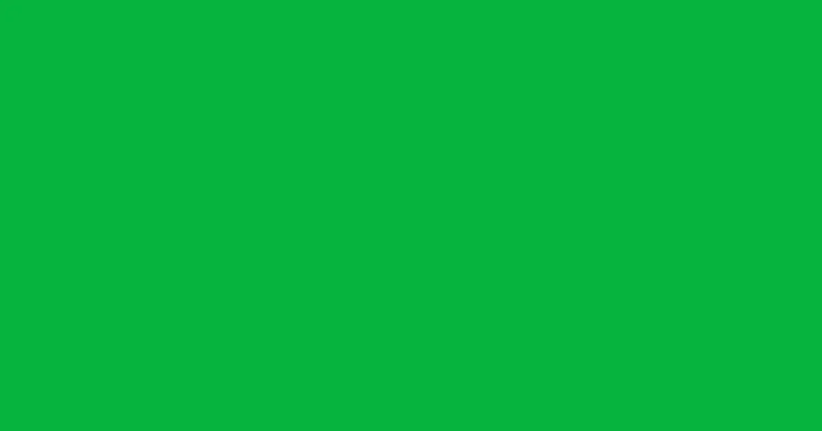 #06b43d malachite color image