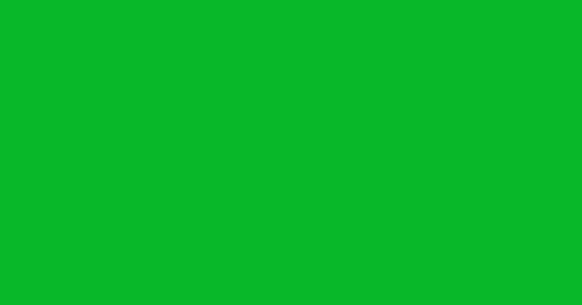 #06b826 malachite color image