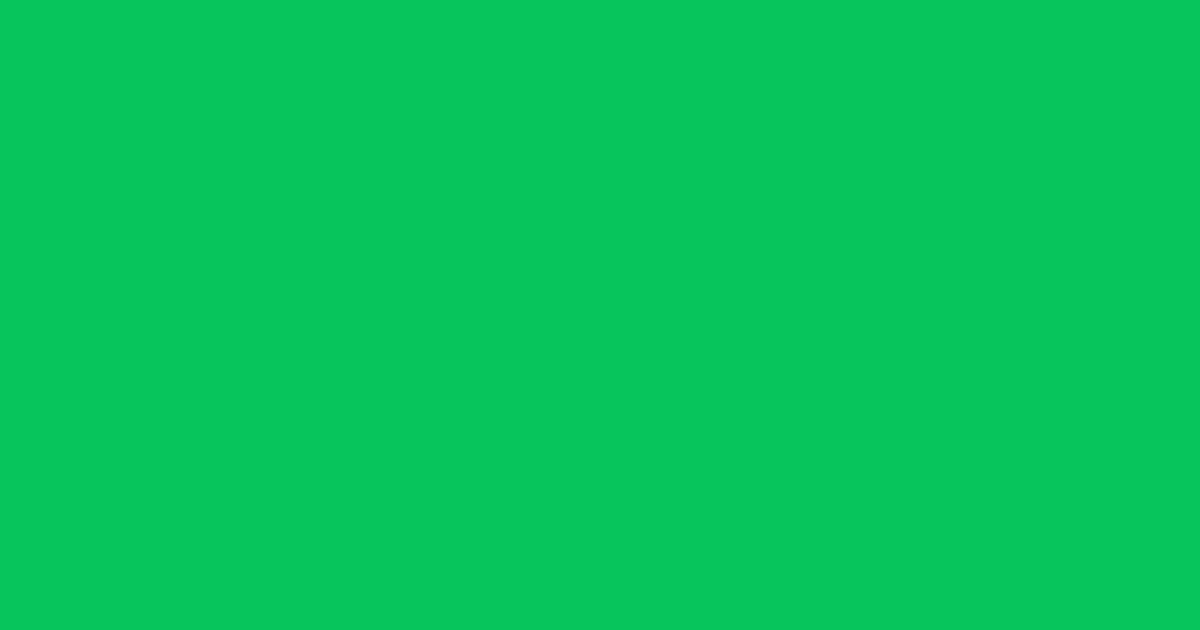 #06c55b malachite color image