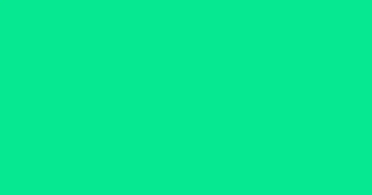 #06e891 spring green color image