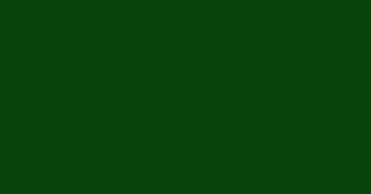 #07430d dark fern color image