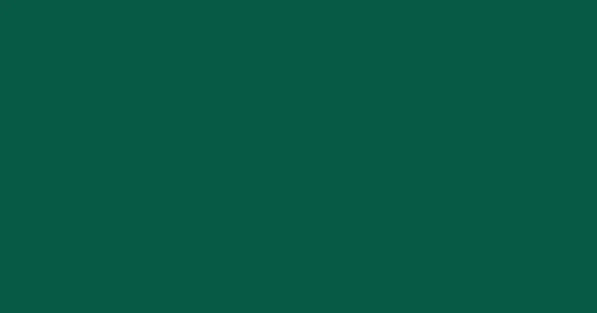 #075a44 deep sea green color image