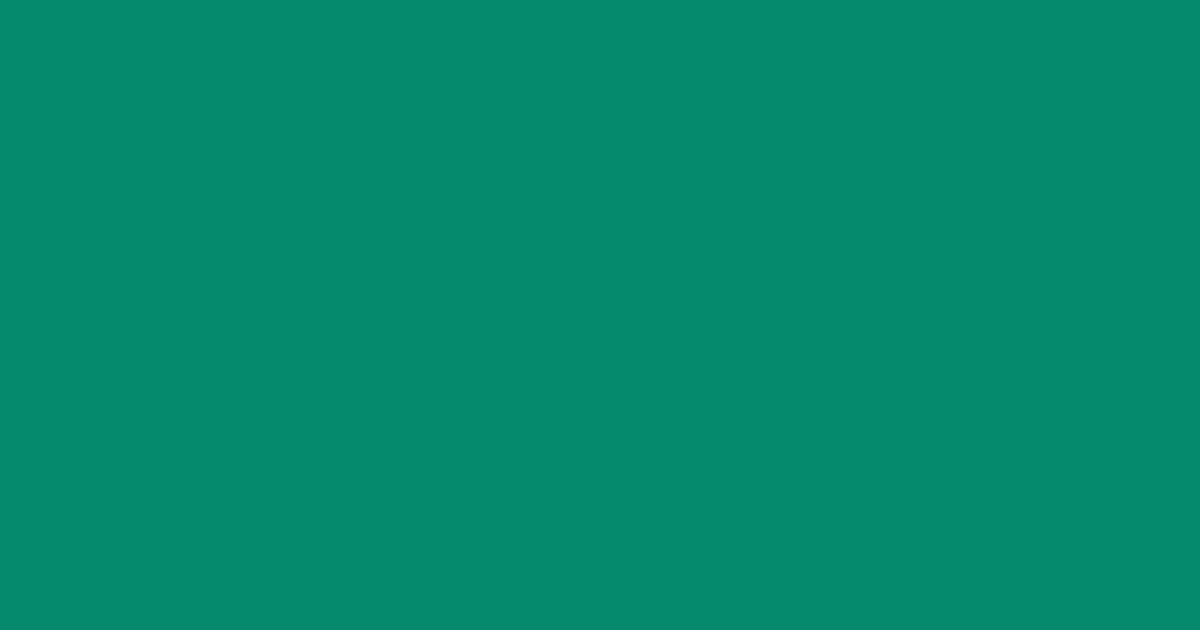 #078a6f elf green color image