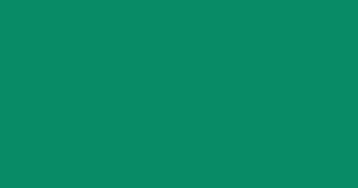 #078b66 elf green color image