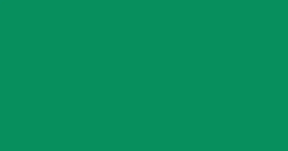 #078f5c elf green color image