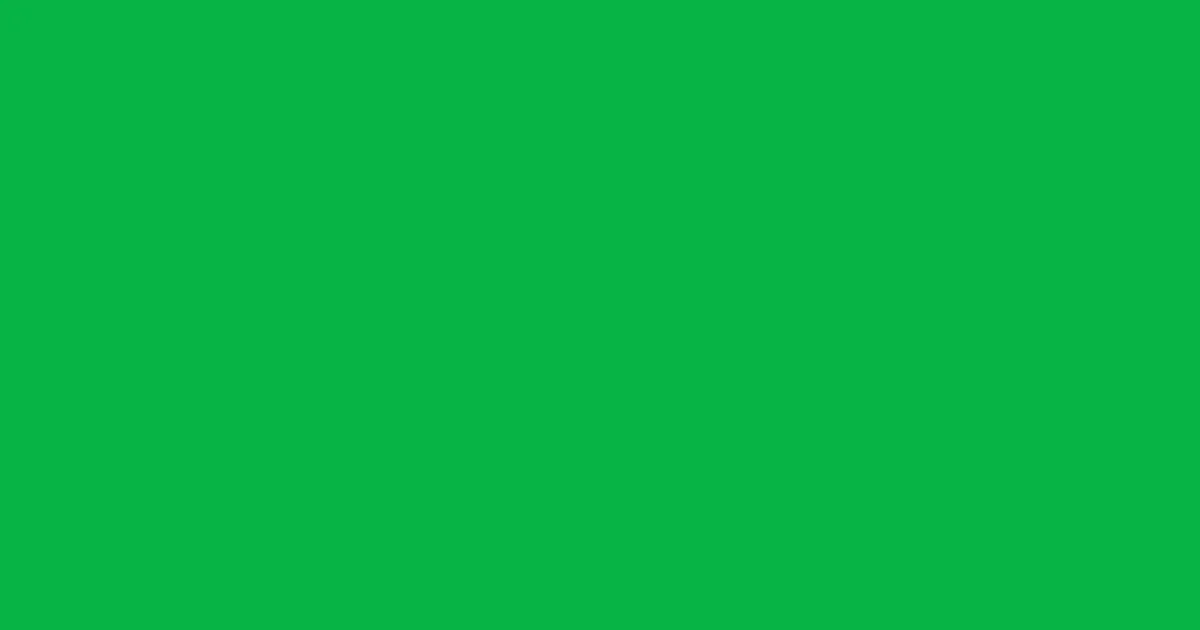 #07b445 malachite color image