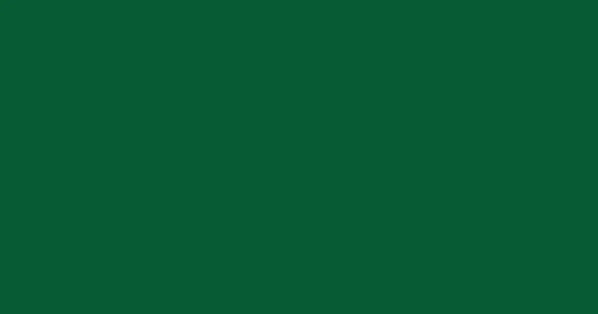 #085b35 zuccini color image
