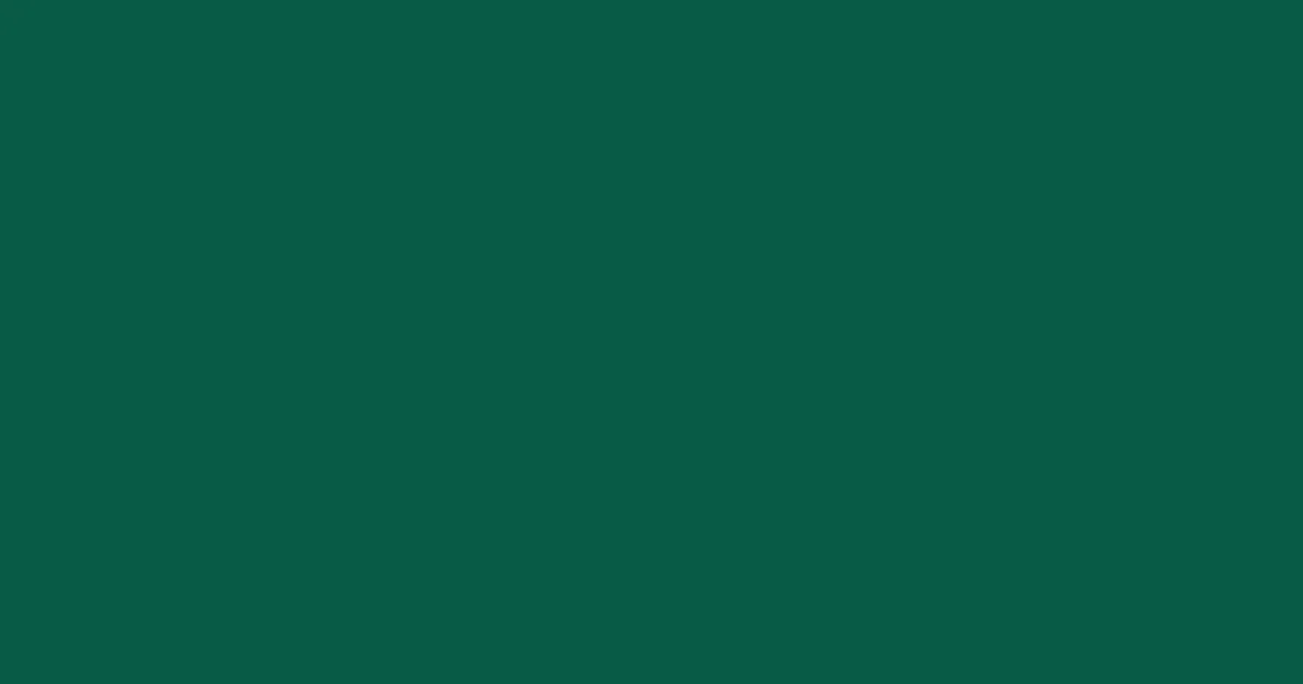 #085b47 deep sea green color image