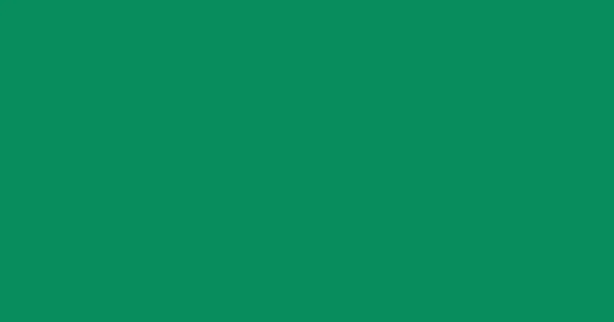 #088c5e elf green color image