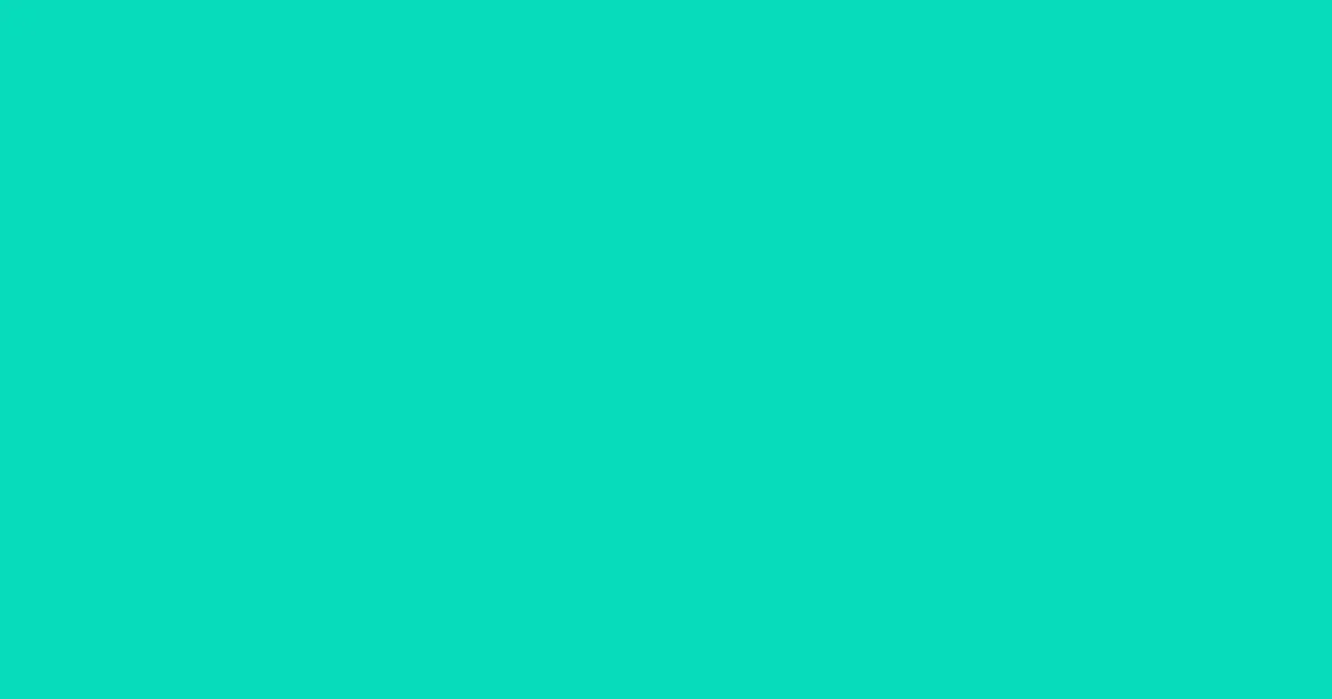 #08dbbb bright turquoise color image