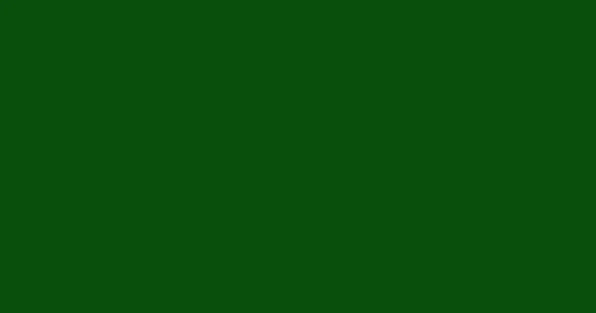 #094f0c dark fern color image