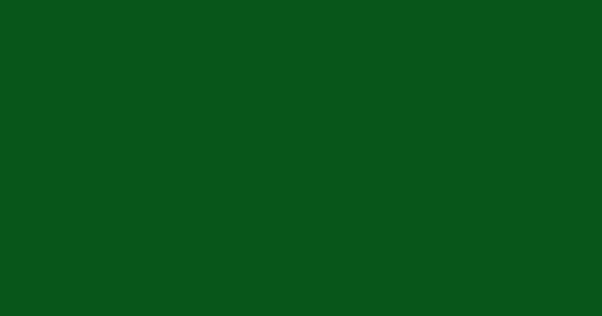 #09561a dark fern color image