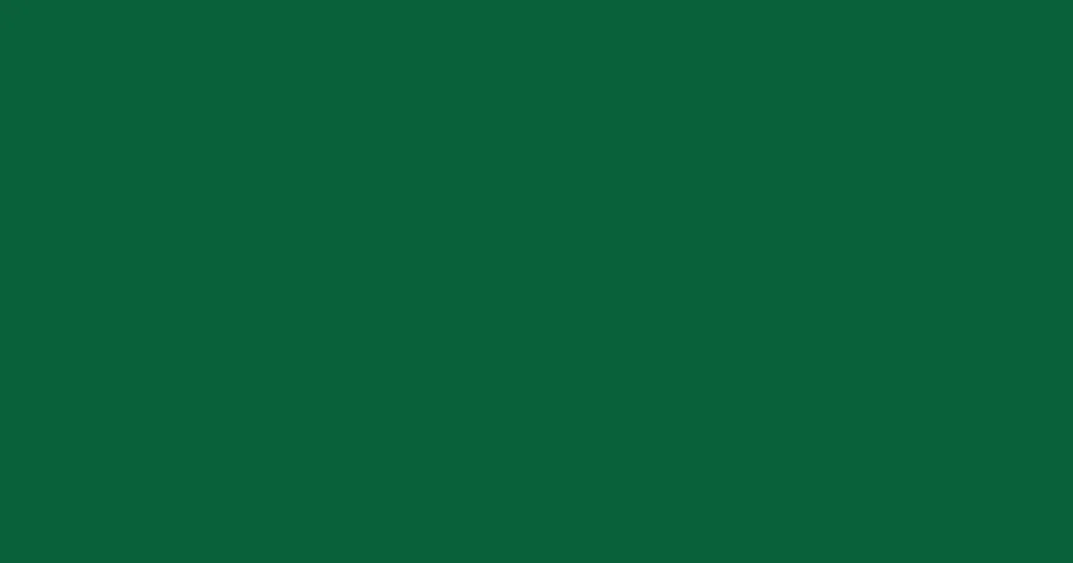 #09613a deep sea green color image