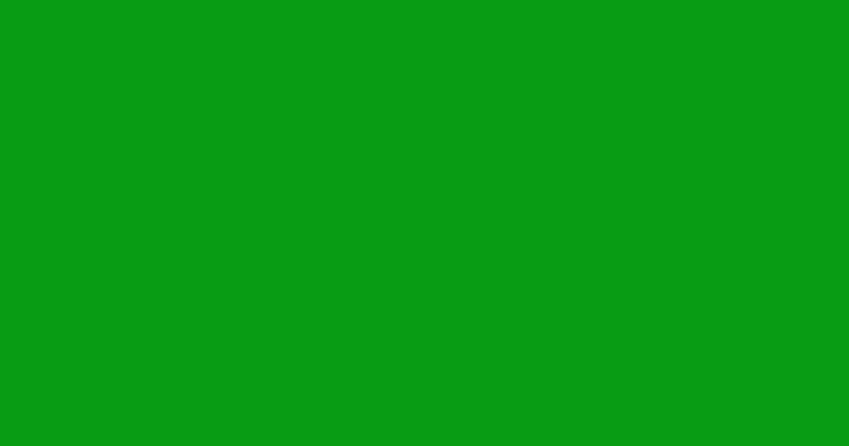 #099d14 slimy green color image