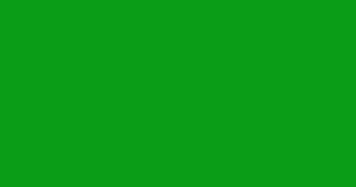 #099d16 slimy green color image