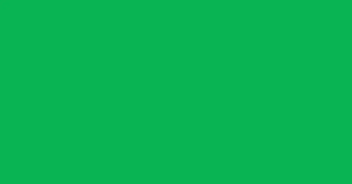 #09b352 green haze color image