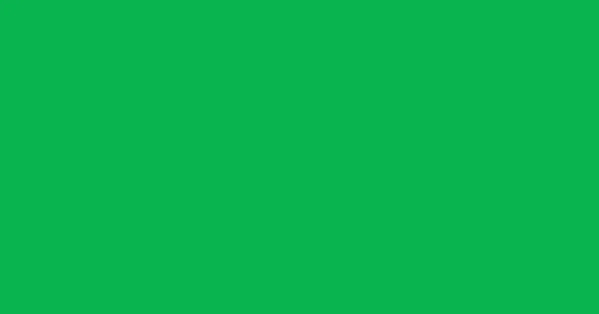 #09b44e malachite color image