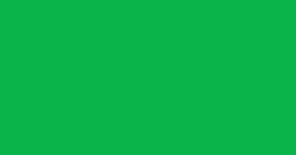 #09b54a malachite color image