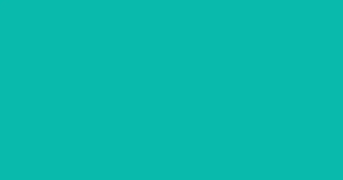 #09baab blue green color image