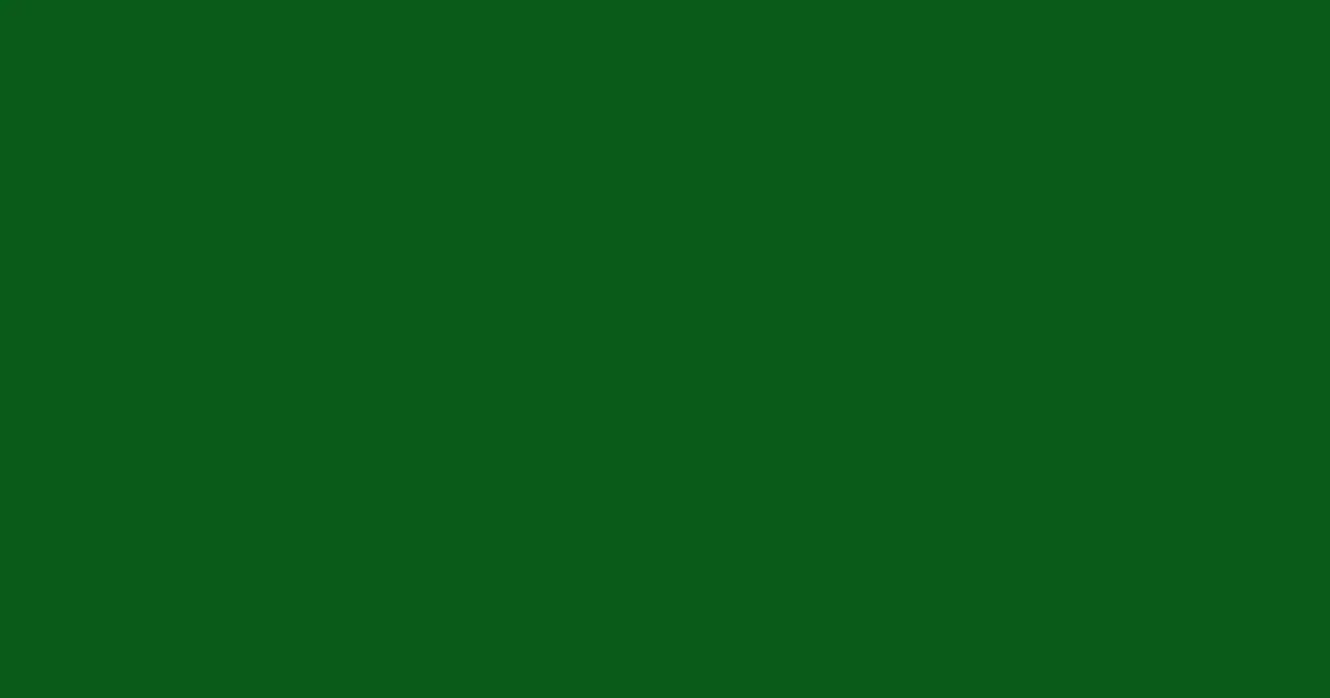 #0a5b1a dark fern color image