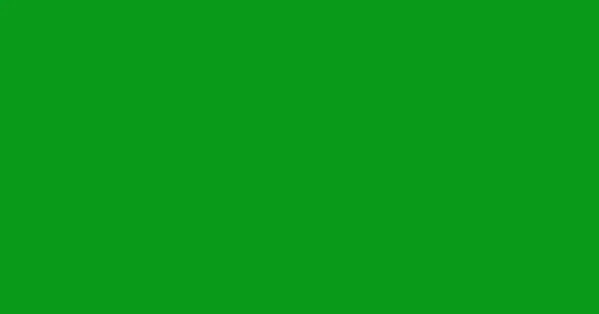 #0a9a1b slimy green color image