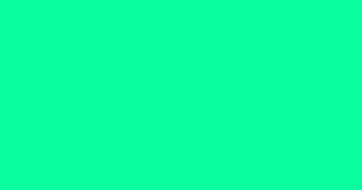 #0afc9d spring green color image