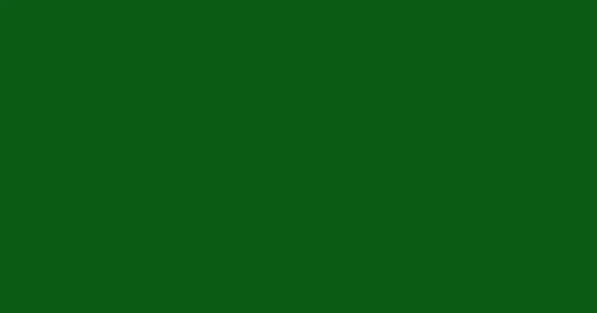 #0c5b15 dark fern color image