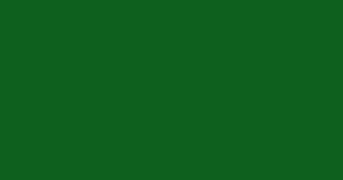 #0d631e dark fern color image