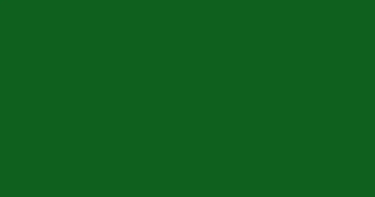 #10601e dark fern color image
