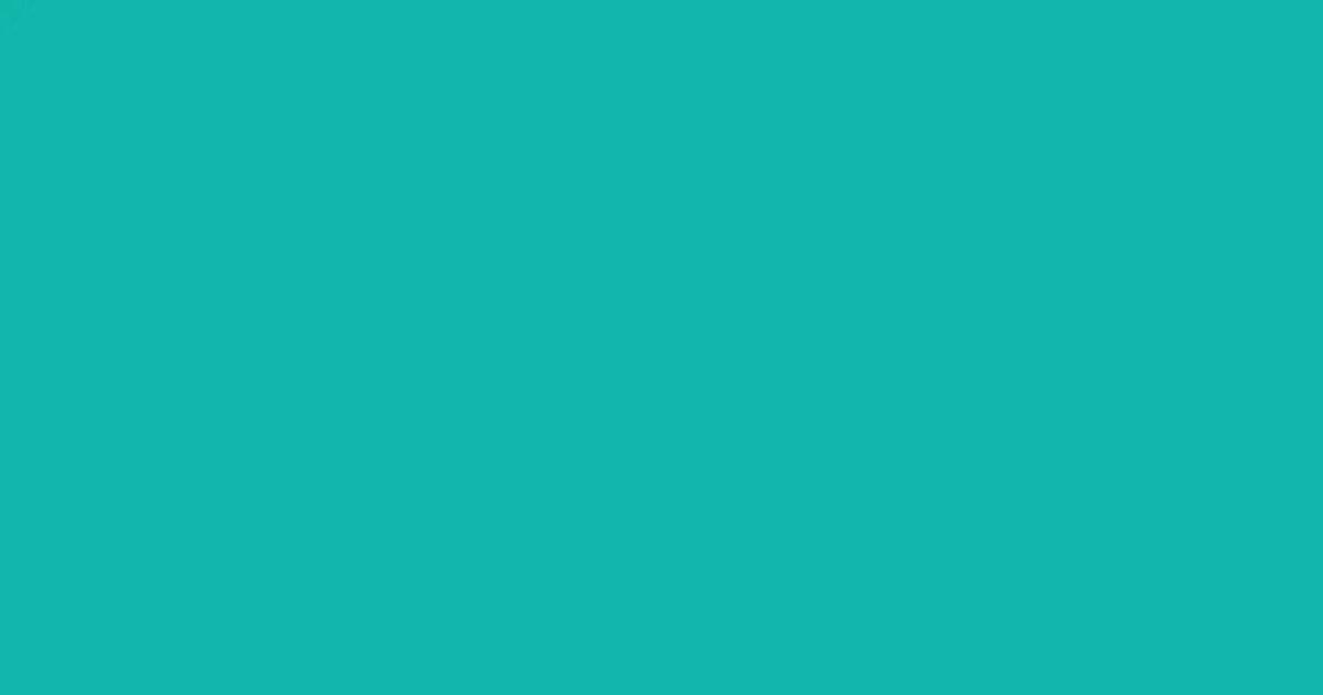 #12b5aa teal blue color image