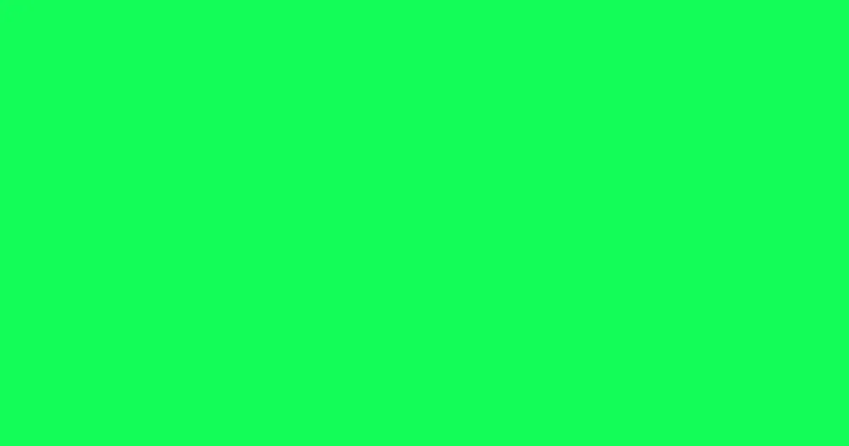 #12fd57 spring green color image