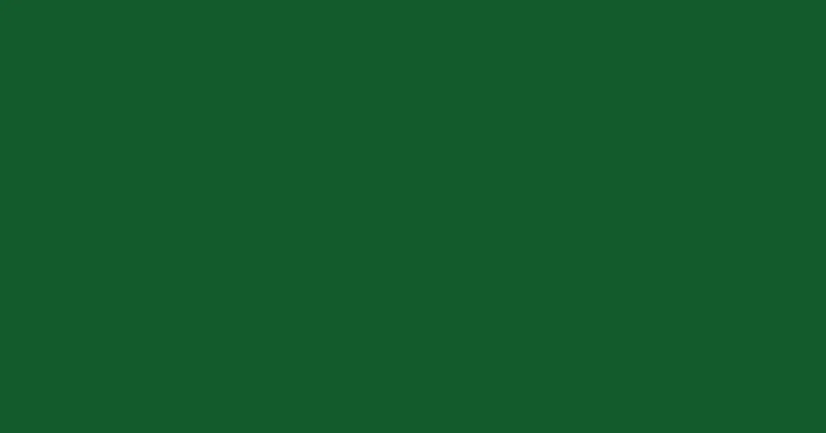 #135a2c parsley color image