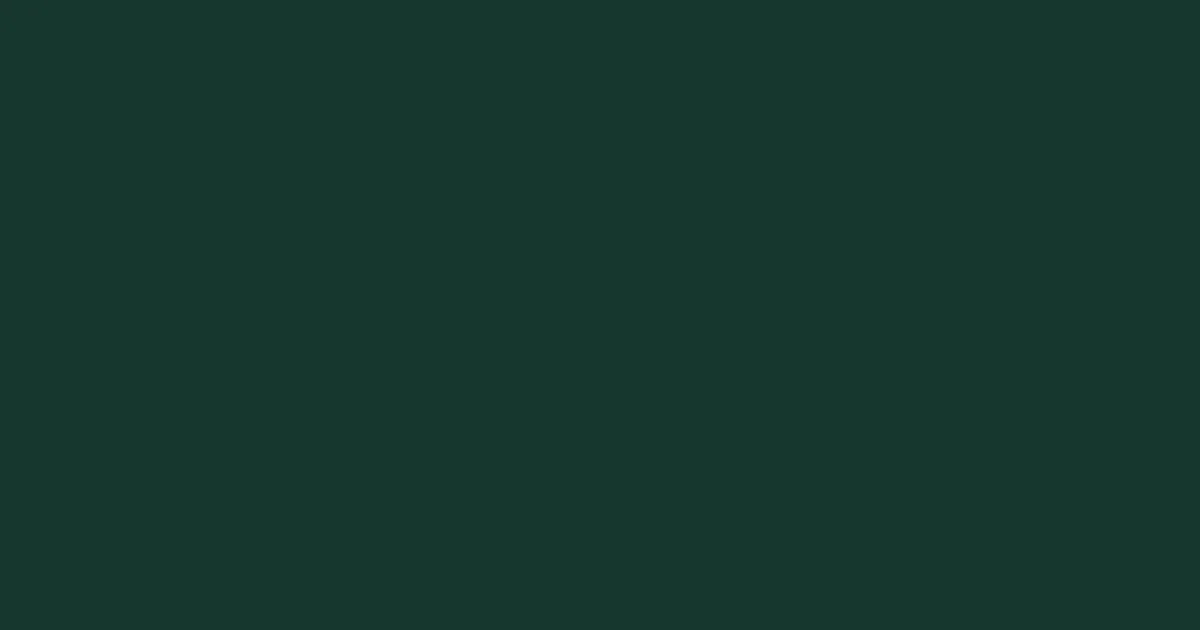 #15372e gable green color image