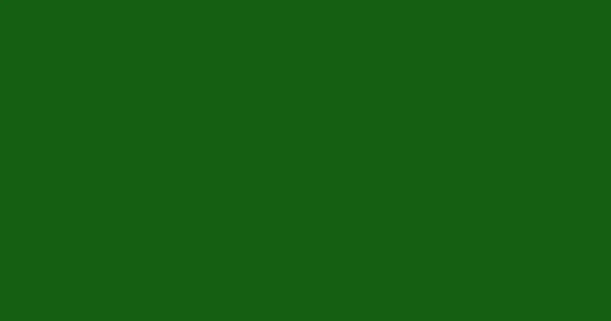 #155f12 green house color image