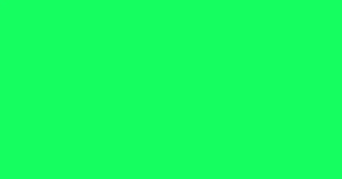 #16fe5f spring green color image