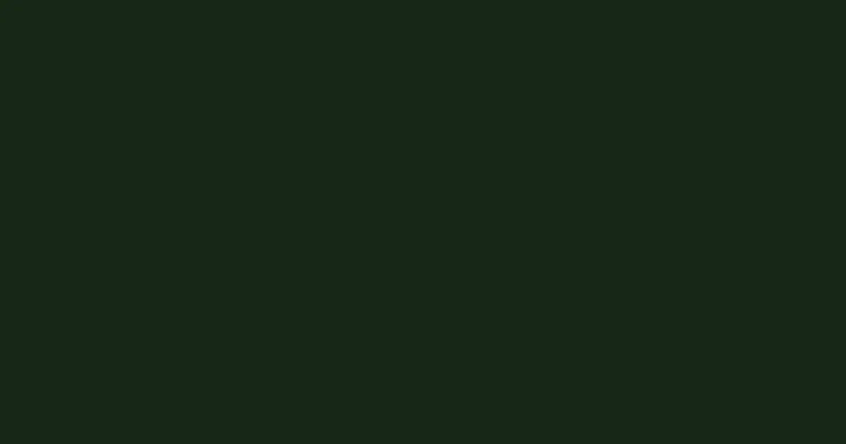 #172716 hunter green color image