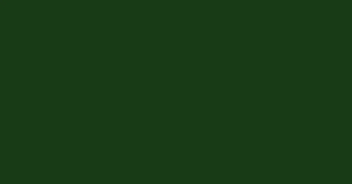 #173b17 seaweed color image