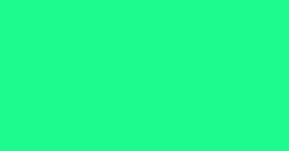 #1afa8c spring green color image