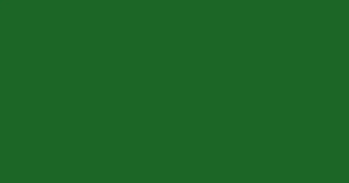 #1b6626 parsley color image