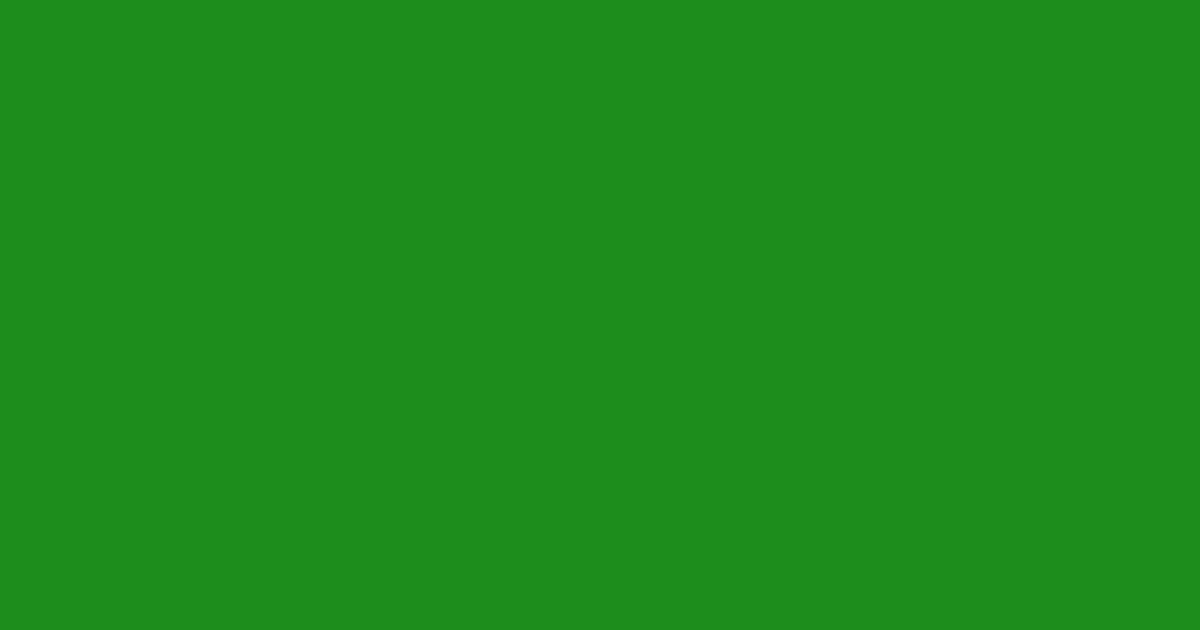 #1c8c1c forest green color image