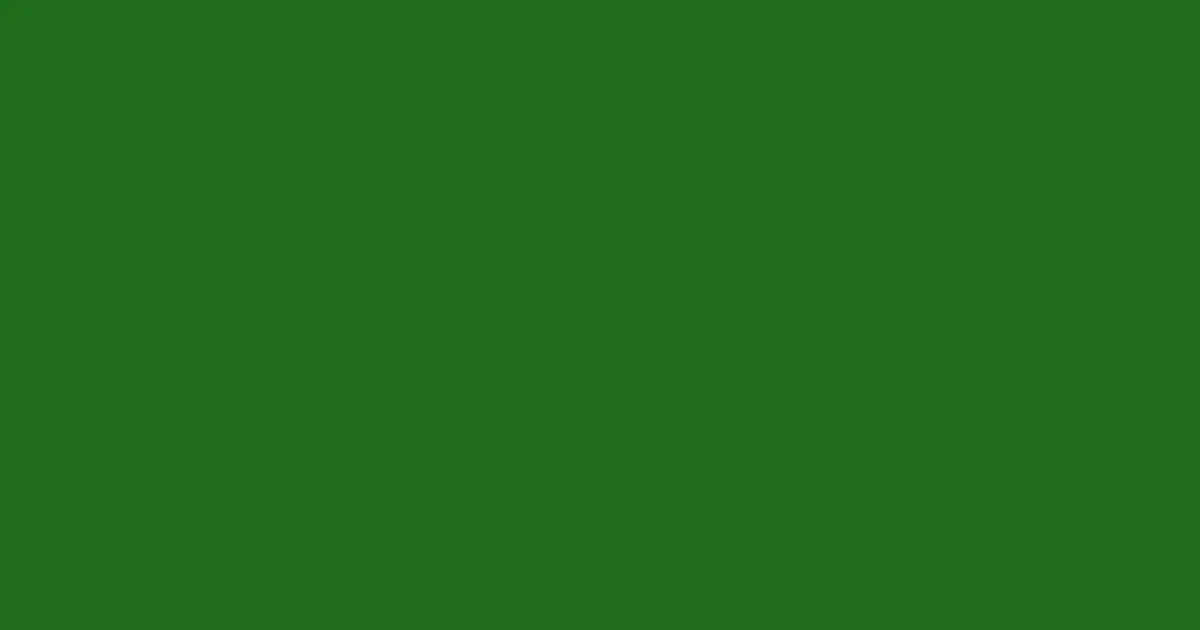 #206c1b forest green color image