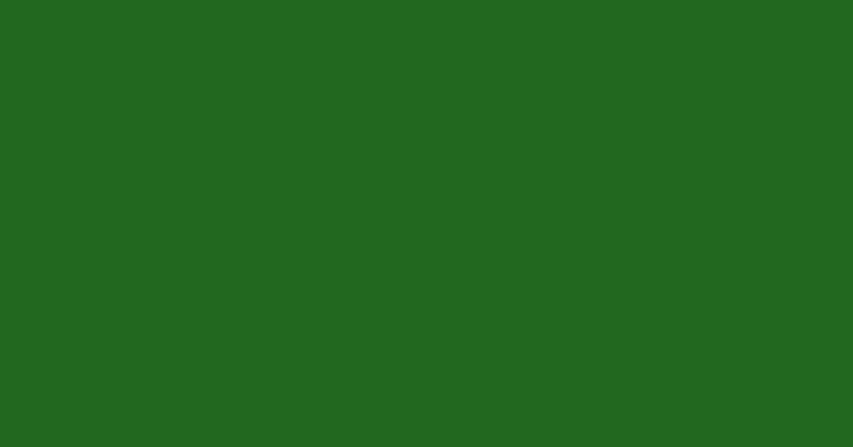 #21691f forest green color image