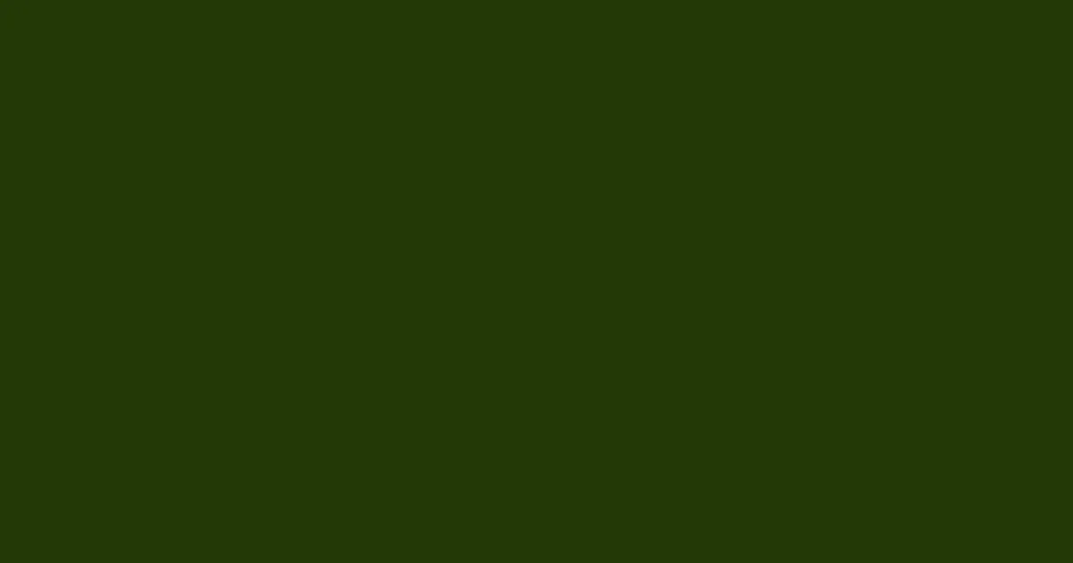 #223806 pine tree color image